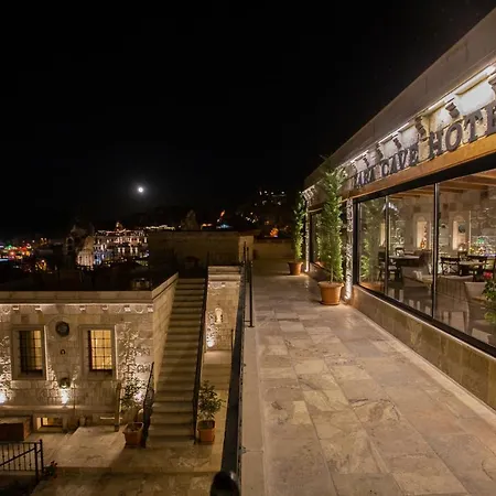 Hotel Zara Cave